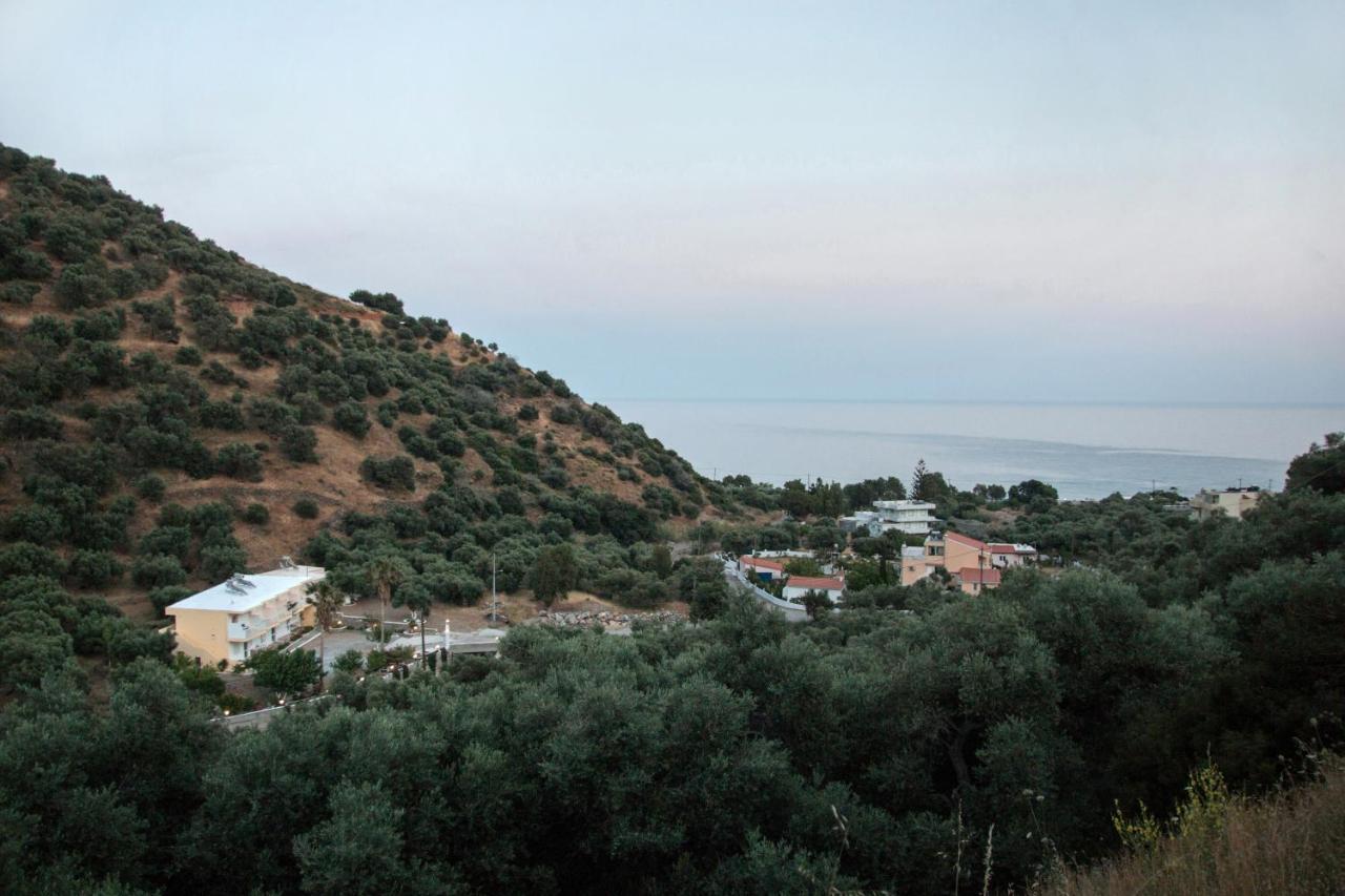 Rykinthos Studios Rodakino Exterior foto